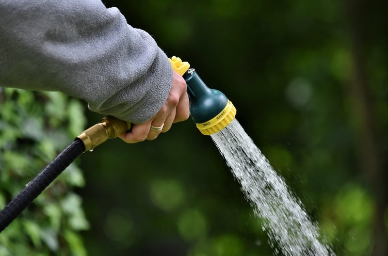 Watering Can and Plants